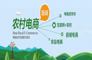 关于印发进一步加强我省农村电商培训推动创业就业工作方案的通知